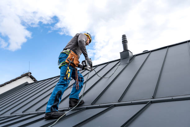 Best Sheet Metal Roofing  in Elizabethville, PA